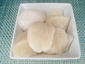 Giant Sea Scallops