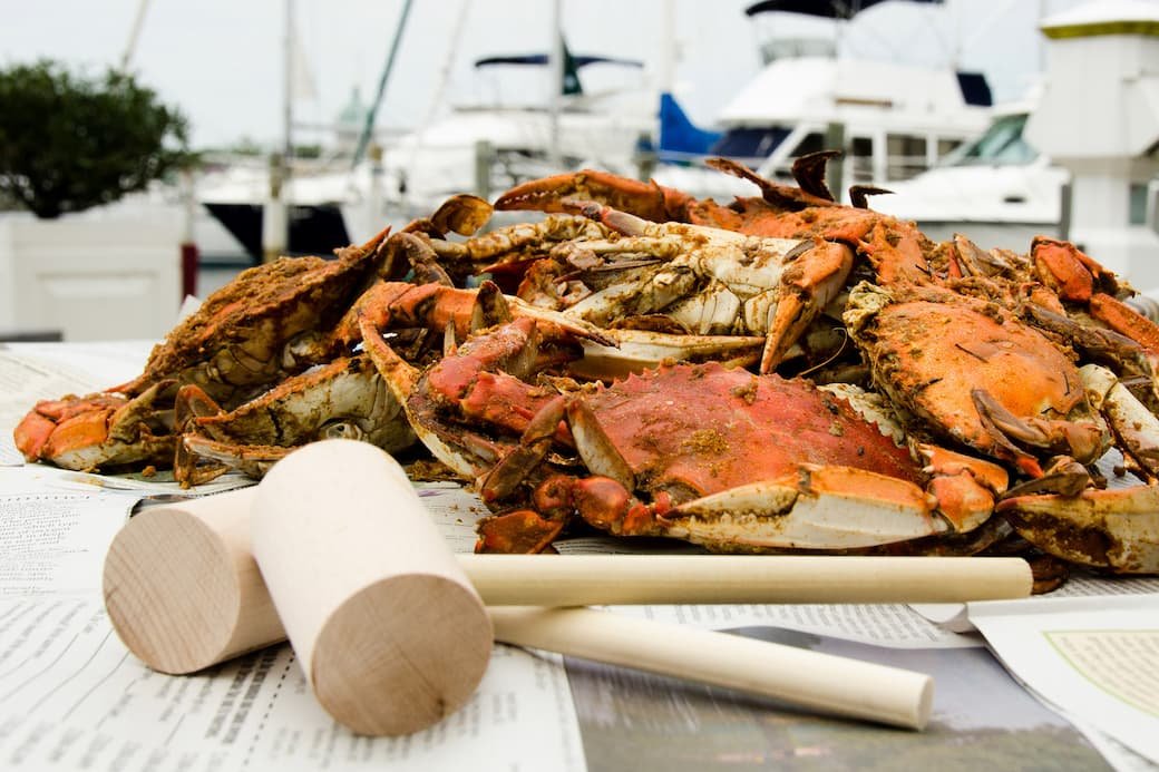 Fresh crab feast seafood selection
