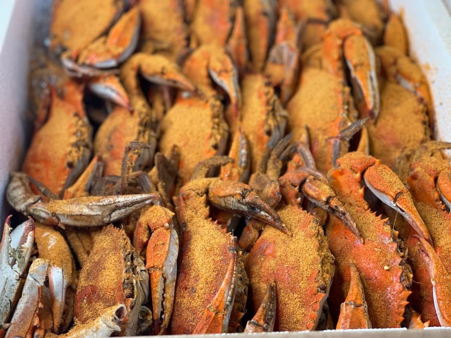 Chesapeake catch seafood selection